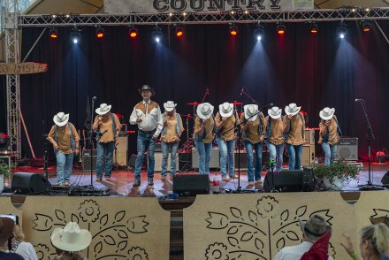 XXII Wiślaczek Country - 1 dzień - zespół taneczny Silesian Line Dance
